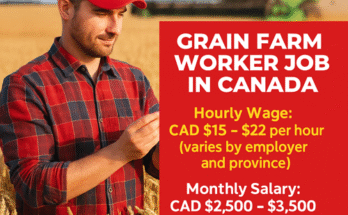 Grain farm Workers Job 2025