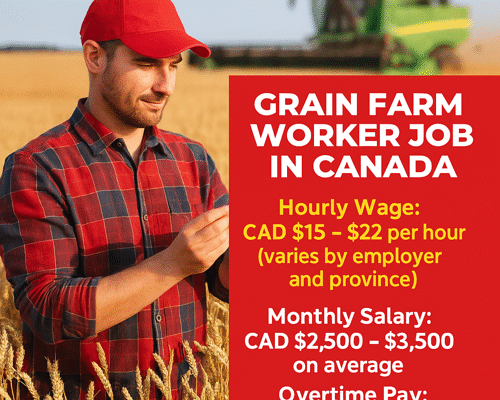 Grain farm Workers Job 2025